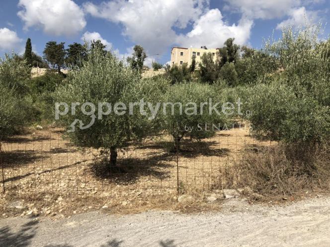 Οικόπεδο 500τ.μ. για πώληση-Γεροπόταμος » Μαργαρίτες