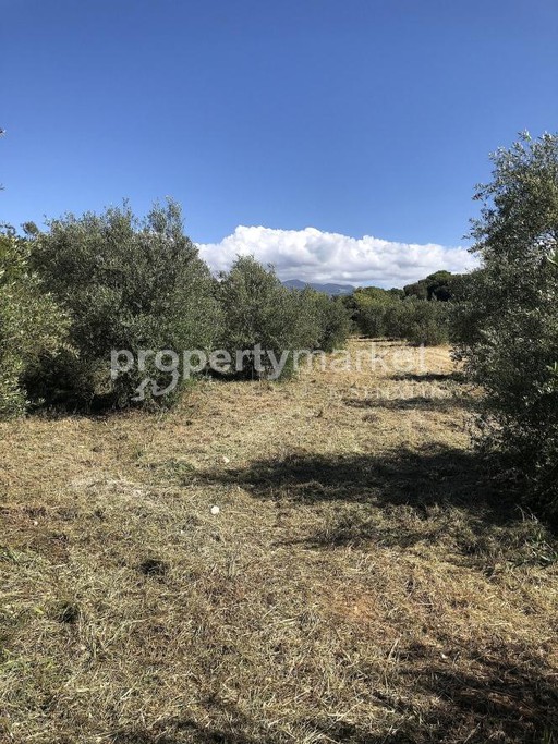 Parcel 3.750 sqm for sale, Rethymno Prefecture, Geropotamos