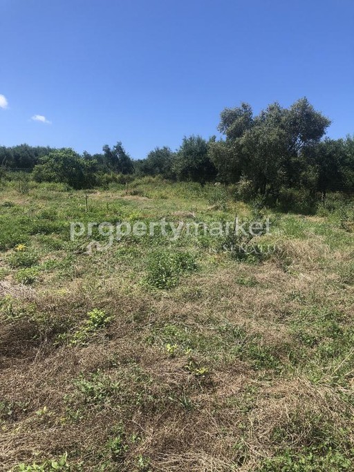 Οικόπεδο 428τ.μ. για πώληση-Γεροπόταμος » Πέραμα