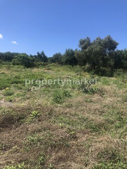 Land plot 428sqm for sale-Geropotamos » Perama