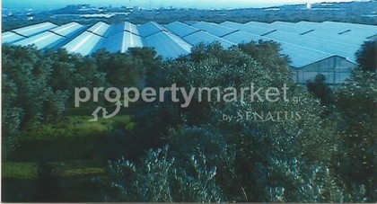 Parcel 20.000sqm for sale-Ierapetra » Center