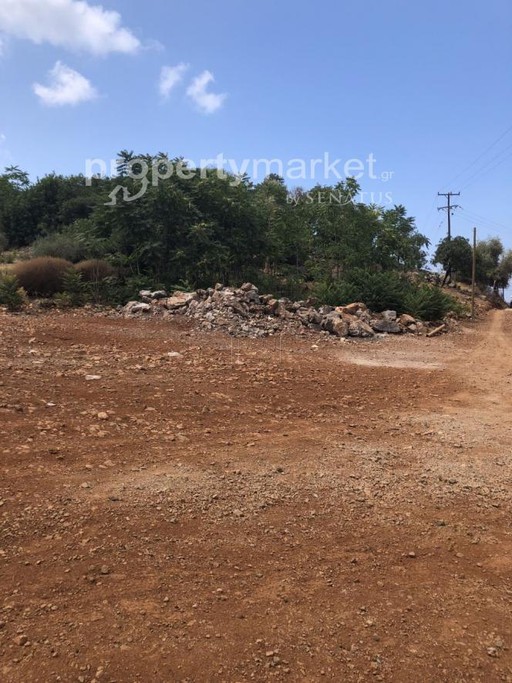 Οικόπεδο 3.785τ.μ. για πώληση-Γεροπόταμος » Μπαλί
