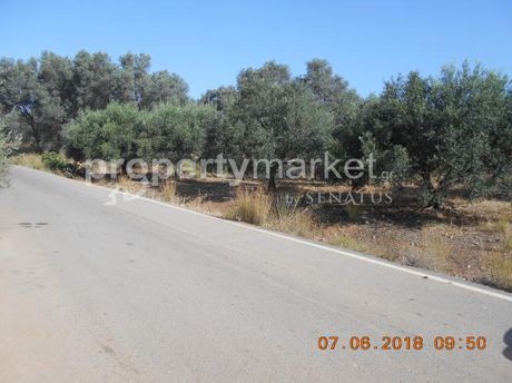 Αγροτεμάχια 2.000τ.μ. για πώληση-Τυμπάκι » Λαγολί