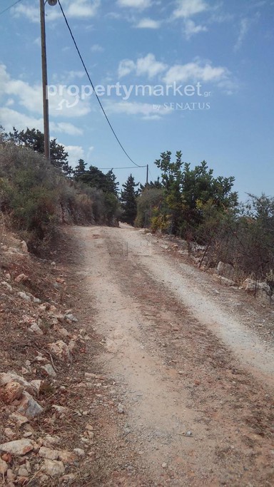 Αγροτεμάχια 2.174 τ.μ. για πώληση