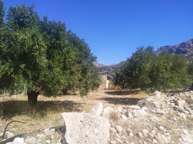 Αγροτεμάχια 1.200 τ.μ. πρός πώληση, Ν. Λασιθίου, Ιεράπετρα