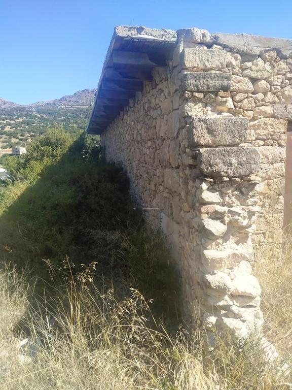 Αγροτεμάχια 1.200 τ.μ. πρός πώληση, Ν. Λασιθίου, Ιεράπετρα