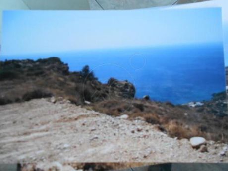 Αγροτεμάχια 4.400τ.μ. για πώληση-Φοινίκας » Πλακιάς
