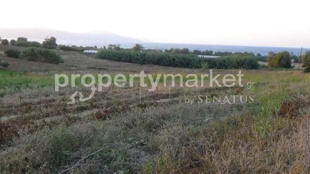 Οικόπεδο 4.305τ.μ. για πώληση-Λάππα » Επισκοπή