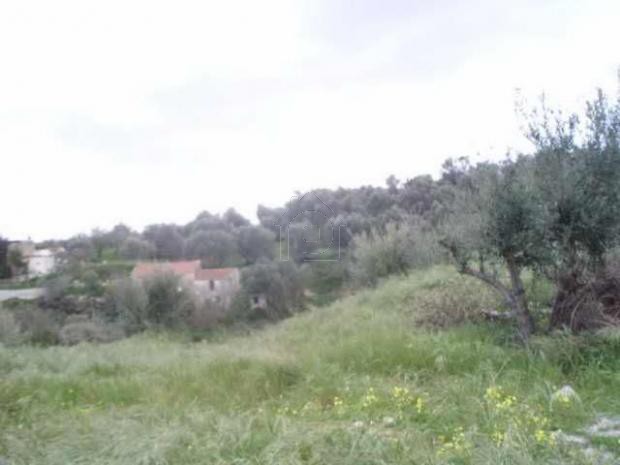 Οικόπεδο 1.065τ.μ. για πώληση-Γεροπόταμος » Χουμέρι