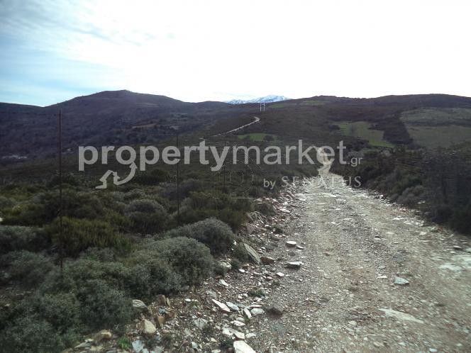 Αγροτεμάχια 6.624τ.μ. για πώληση-Κίσσαμος » Κέντρο
