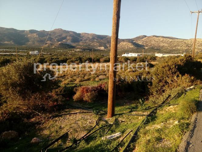 Αγροτεμάχια 9.000 τ.μ. για πώληση, Ν. Λασιθίου, Ιεράπετρα