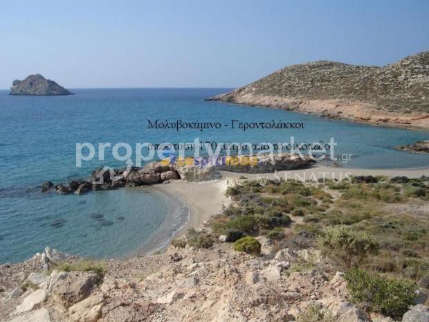 Αγροτεμάχια 32.702τ.μ. για ενοικίαση-Ιεράπετρα » Ξηρόκαμπος