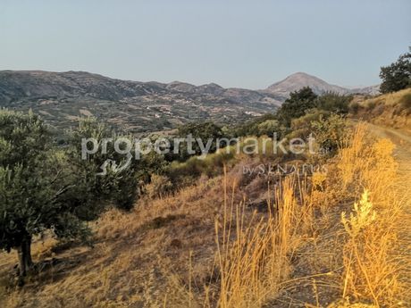 Αγροτεμάχια 6.062τ.μ. για πώληση-Λάμπη » Μυξόρρουμα
