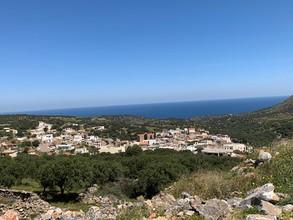 Αγροτεμάχια 6.130 τ.μ. για πώληση