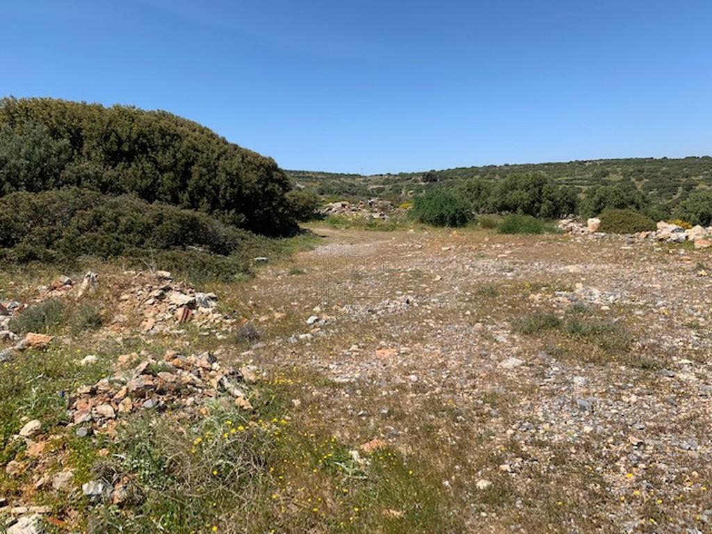 Αγροτεμάχια 6.130 τ.μ. πρός πώληση, Ν. Λασιθίου, Άγιος Νικόλαος