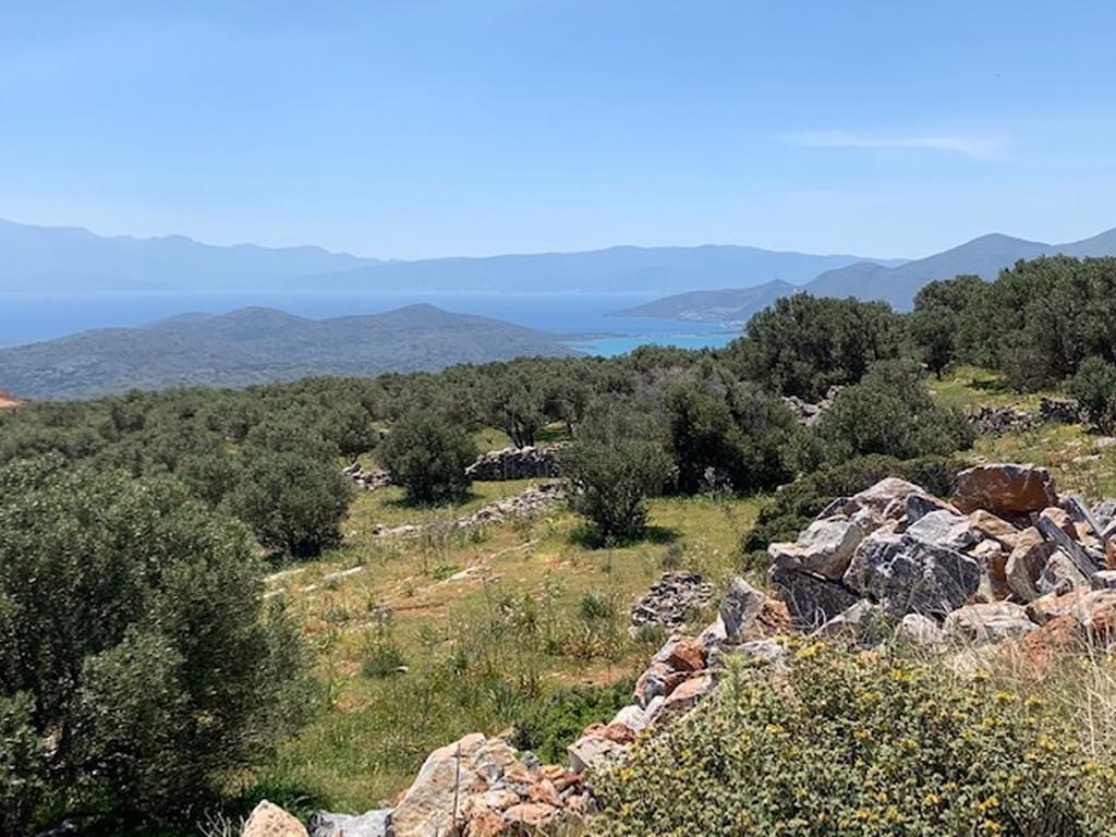 Αγροτεμάχια 6.130 τ.μ. πρός πώληση, Ν. Λασιθίου, Άγιος Νικόλαος
