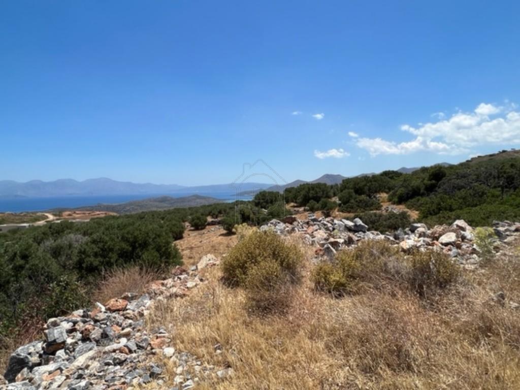 Αγροτεμάχια 6.130 τ.μ. πρός πώληση, Ν. Λασιθίου, Άγιος Νικόλαος