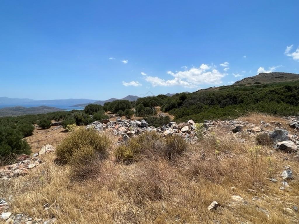 Αγροτεμάχια 6.130 τ.μ. πρός πώληση, Ν. Λασιθίου, Άγιος Νικόλαος
