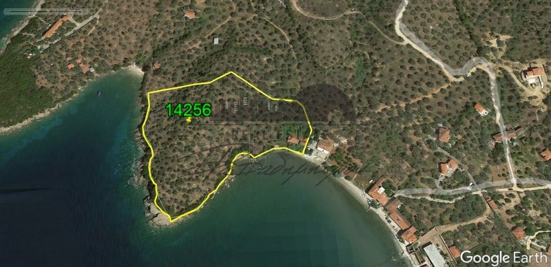 Parcel 14.255sqm for sale-Argalasti » Kalamos