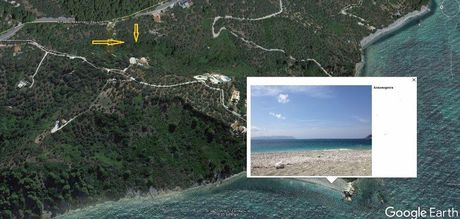Αγροτεμάχια 12.033τ.μ. για πώληση-Σκόπελος » Κλήμα