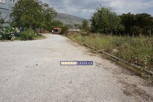 Ξενοδοχείο 2.167 τ.μ. προς πώληση, Πολύστυλο-thumb-24