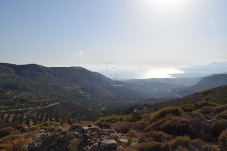 Οικόπεδο 6.500 τ.μ. προς πώληση, Μακρύς Γιαλός Λασιθίου