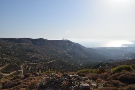 Οικόπεδο 6.500 τ.μ. προς πώληση, Μακρύς Γιαλός Λασιθίου