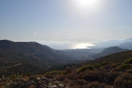 Οικόπεδο 6.500 τ.μ. προς πώληση, Μακρύς Γιαλός Λασιθίου