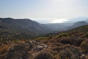 Οικόπεδο 6.500 τ.μ. προς πώληση, Μακρύς Γιαλός Λασιθίου-thumb-7
