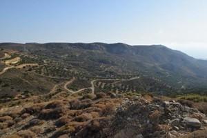 Οικόπεδο 6.500 τ.μ. προς πώληση, Μακρύς Γιαλός Λασιθίου-thumb-8