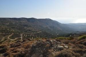 Οικόπεδο 6.500 τ.μ. προς πώληση, Μακρύς Γιαλός Λασιθίου-thumb-9