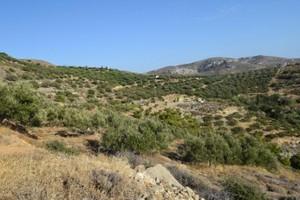 Οικόπεδο 6.500 τ.μ. προς πώληση, Μακρύς Γιαλός Λασιθίου-thumb-11