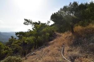 Οικόπεδο 6.500 τ.μ. προς πώληση, Μακρύς Γιαλός Λασιθίου-thumb-12
