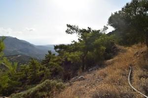 Οικόπεδο 6.500 τ.μ. προς πώληση, Μακρύς Γιαλός Λασιθίου-thumb-13