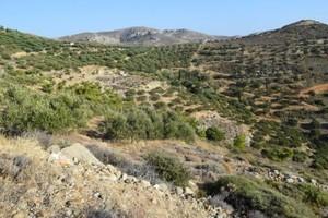 Οικόπεδο 6.500 τ.μ. προς πώληση, Μακρύς Γιαλός Λασιθίου-thumb-14