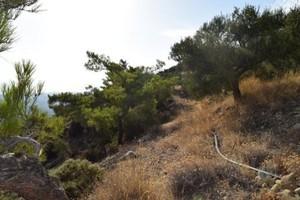 Οικόπεδο 6.500 τ.μ. προς πώληση, Μακρύς Γιαλός Λασιθίου-thumb-16