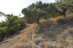 Οικόπεδο 6.500 τ.μ. προς πώληση, Μακρύς Γιαλός Λασιθίου-thumb-18