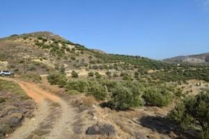 Οικόπεδο 6.500 τ.μ. προς πώληση, Μακρύς Γιαλός Λασιθίου-thumb-20