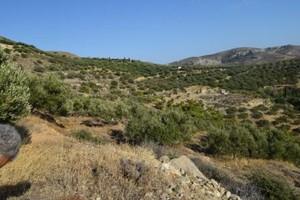 Οικόπεδο 6.500 τ.μ. προς πώληση, Μακρύς Γιαλός Λασιθίου-thumb-21