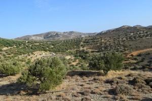 Οικόπεδο 6.500 τ.μ. προς πώληση, Μακρύς Γιαλός Λασιθίου-thumb-23