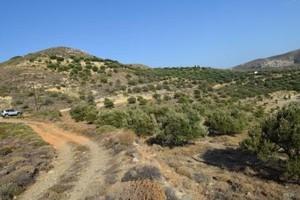 Οικόπεδο 6.500 τ.μ. προς πώληση, Μακρύς Γιαλός Λασιθίου-thumb-25