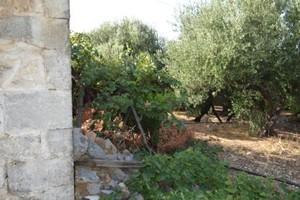 Διαμέρισμα 32 τ.μ. για πώληση, Ν. Λασιθίου, Μακρύς Γιαλός-thumb-10