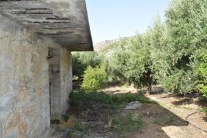Διαμέρισμα 32 τ.μ. για πώληση, Ν. Λασιθίου, Μακρύς Γιαλός-thumb-11