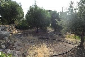 Διαμέρισμα 32 τ.μ. για πώληση, Ν. Λασιθίου, Μακρύς Γιαλός-thumb-14