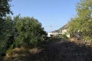 Διαμέρισμα 32 τ.μ. για πώληση, Ν. Λασιθίου, Μακρύς Γιαλός-thumb-17