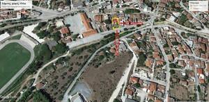 Αγροτεμάχια 10.000 τ.μ. για ενοικίαση