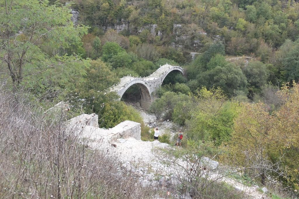 Οικόπεδο 670 τ.μ. προς πώληση, Ν. Ιωαννίνων, Κεντρικό Ζαγόρι