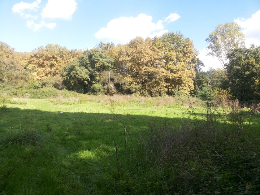 Parcel 16.000 sqm for sale