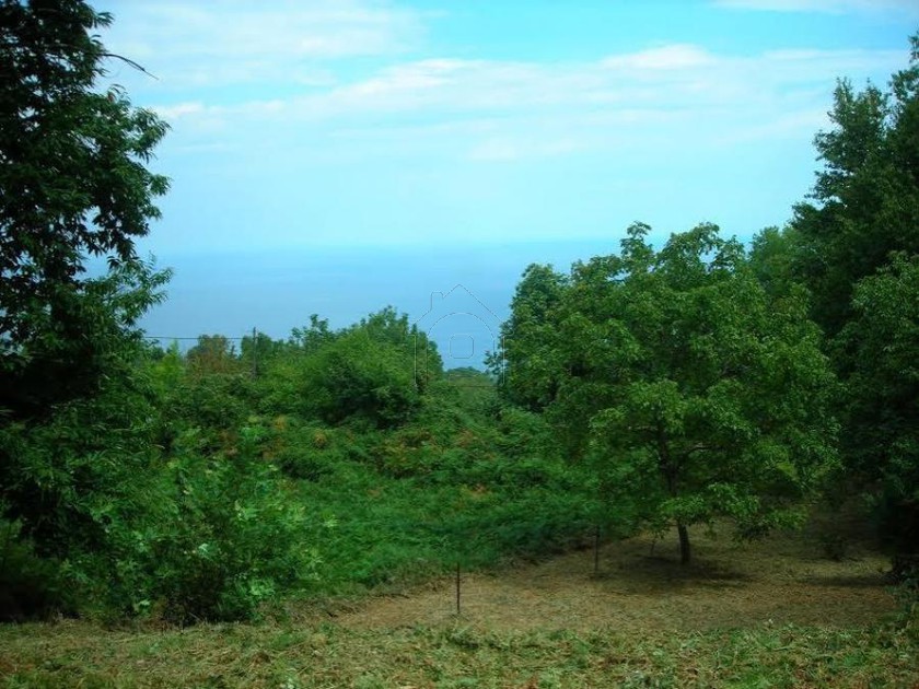 Parcel 4.500sqm for sale-Mouresi » Tsagkarada