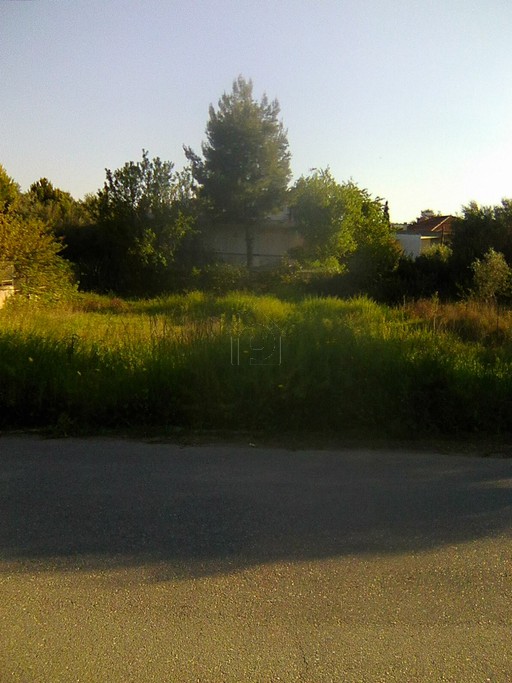 Land plot 593 sqm for sale
